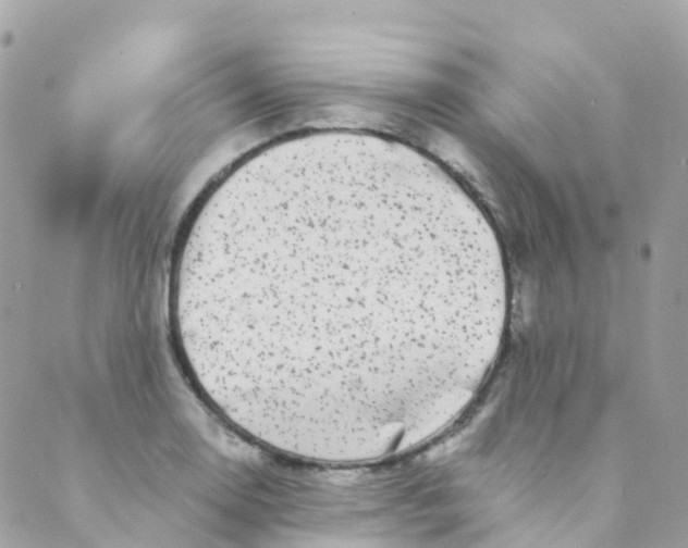 X0000089441130200707061402