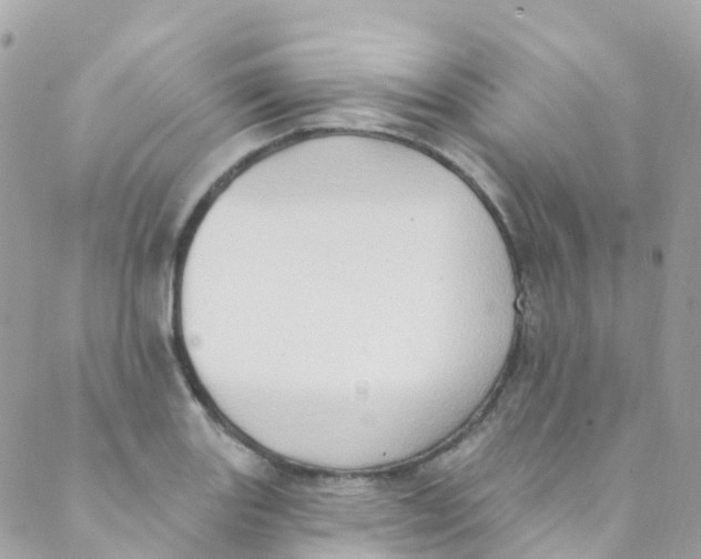 X0000089441131200707061402