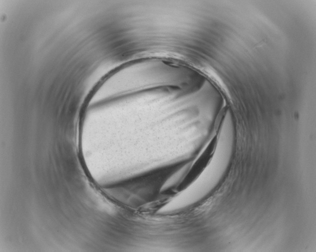 X0000089441132200707061402