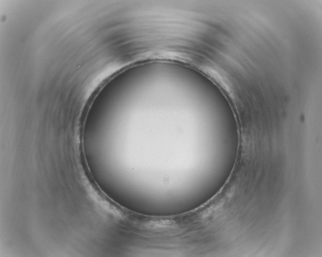 X0000089441133200707061402