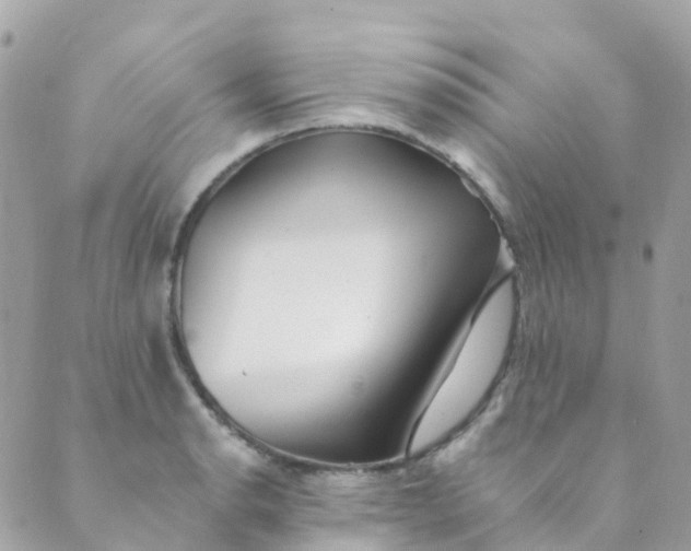 X0000089441134200707061402