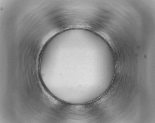 X0000089441135200707061402