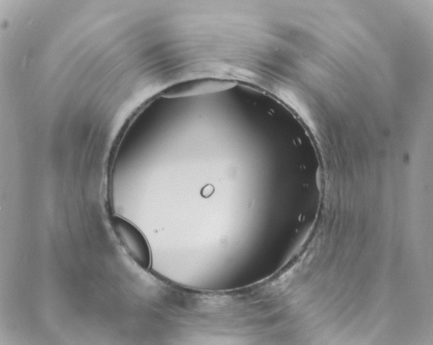 X0000089441136200707061402