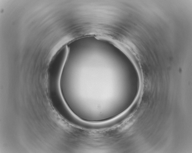 X0000089441138200707061402