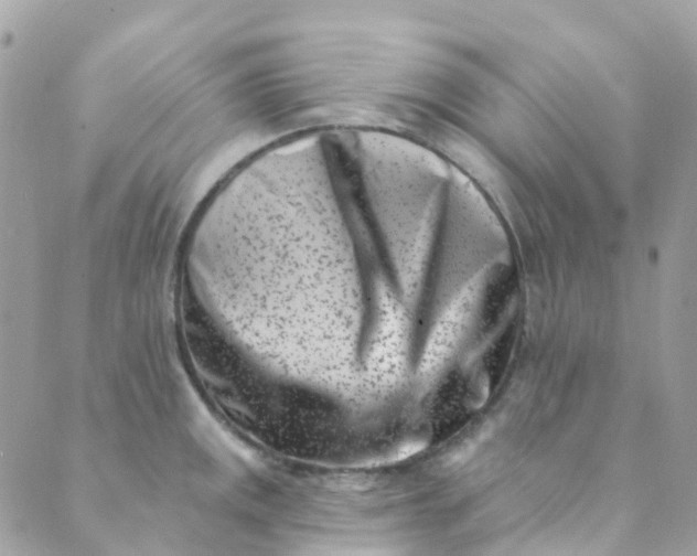 X0000089441141200707061402