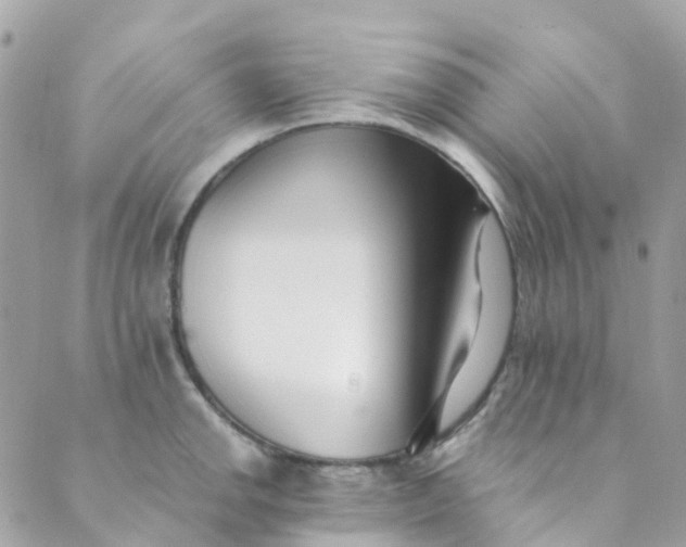 X0000089441142200707061402