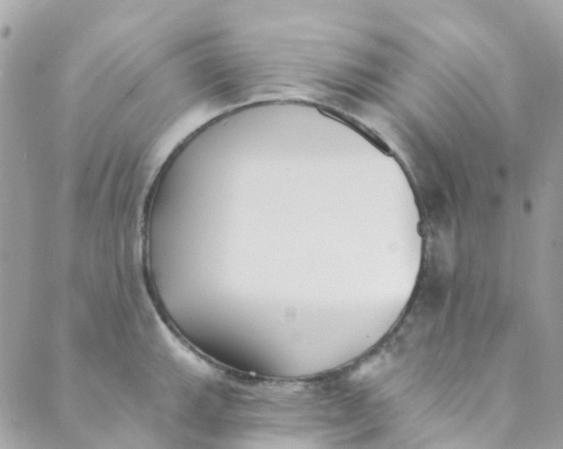 X0000089441143200707061402