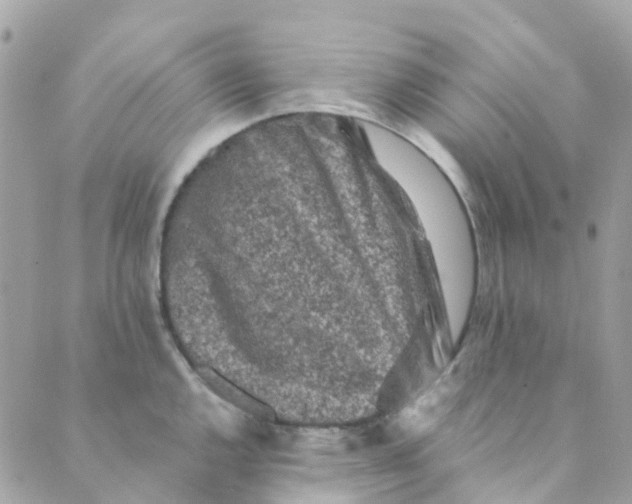 X0000089441144200707061402