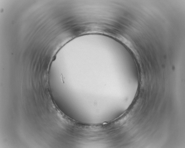 X0000089441145200707061402