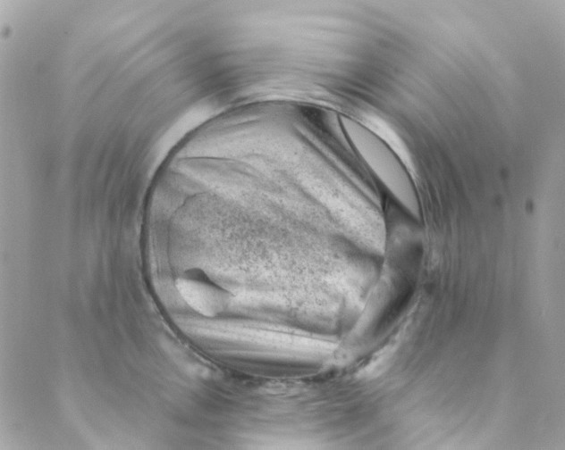 X0000089441146200707061402