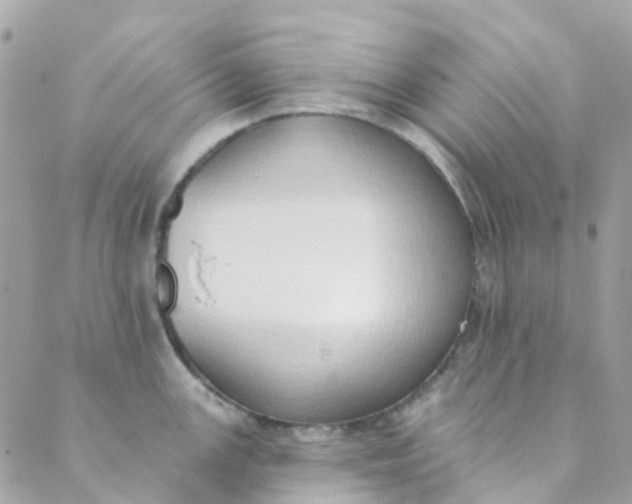 X0000089441147200707061402