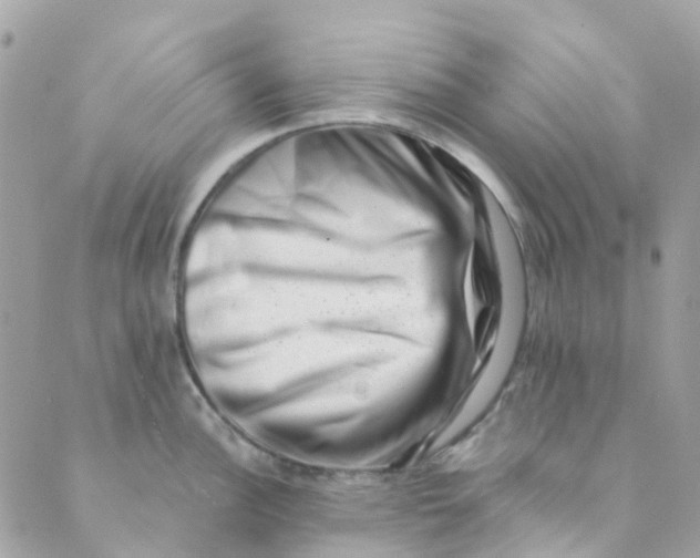 X0000089441148200707061402