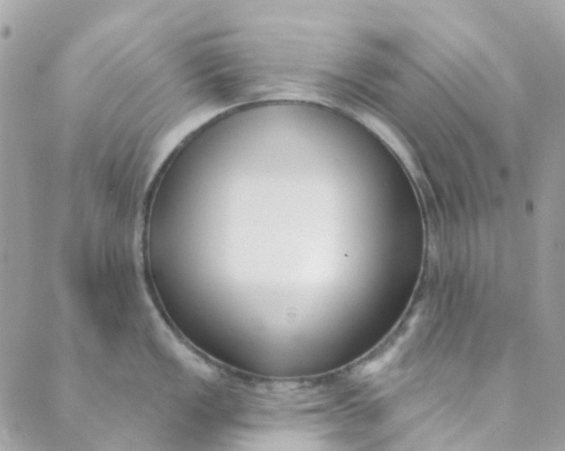 X0000089441149200707061402