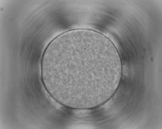 X0000089441150200707061402