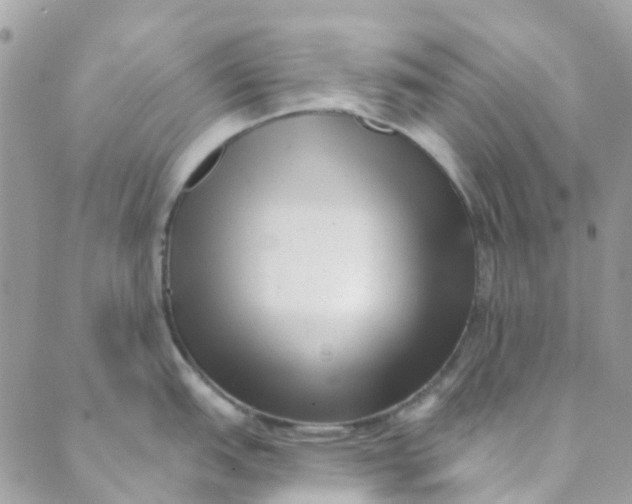 X0000089441151200707061402