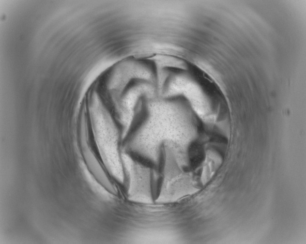 X0000089441152200707061402