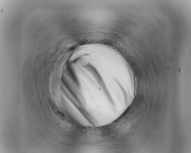 X0000089441153200707061401