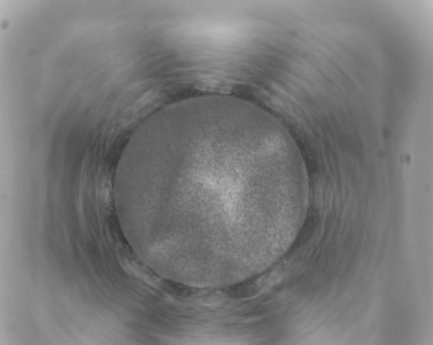 X0000089441154200707061401