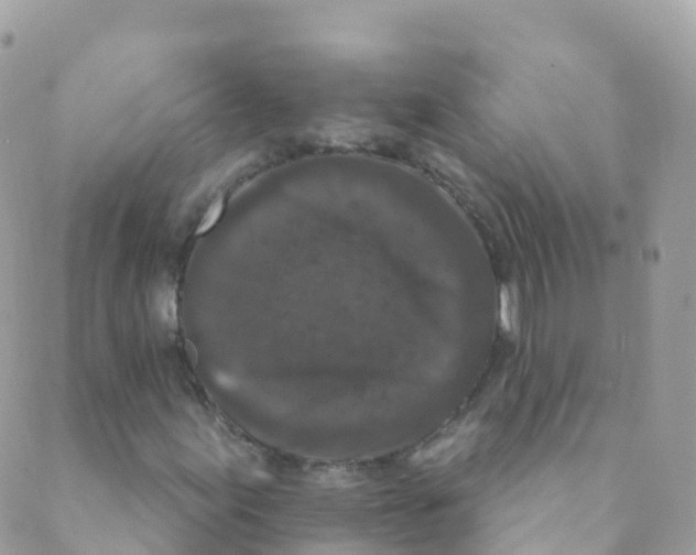 X0000089441155200707061401