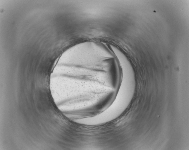 X0000089441156200707061401