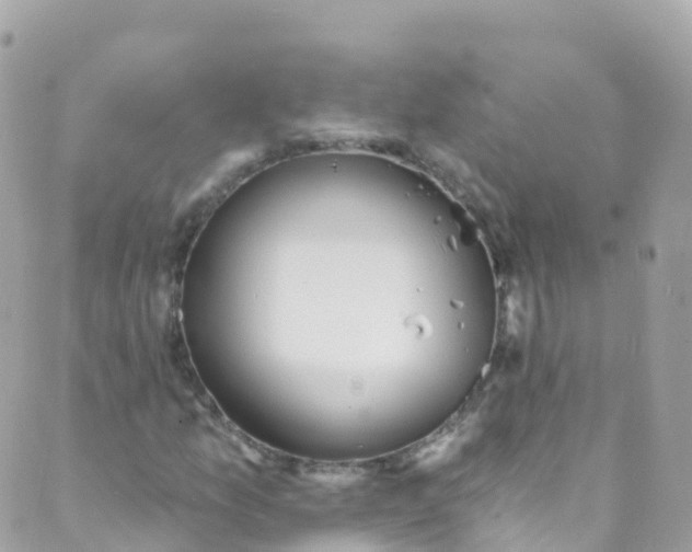 X0000089441157200707061401