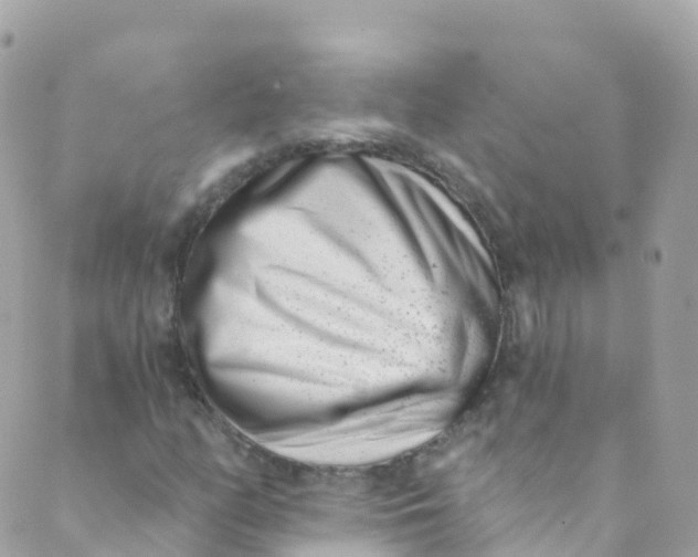 X0000089441158200707061401