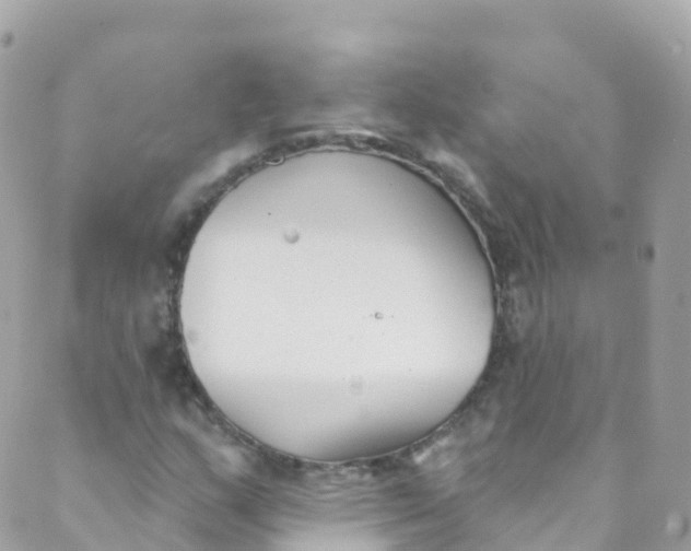 X0000089441159200707061401