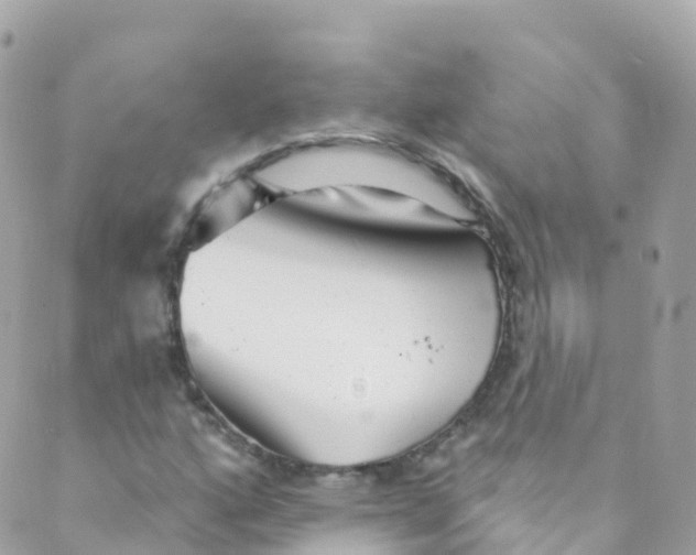 X0000089441160200707061401