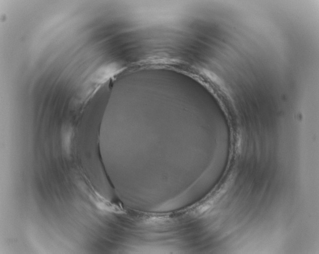 X0000089441161200707061401