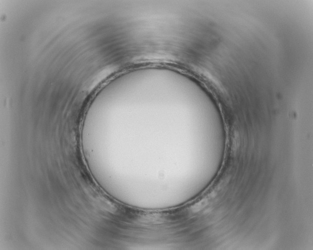 X0000089441162200707061401