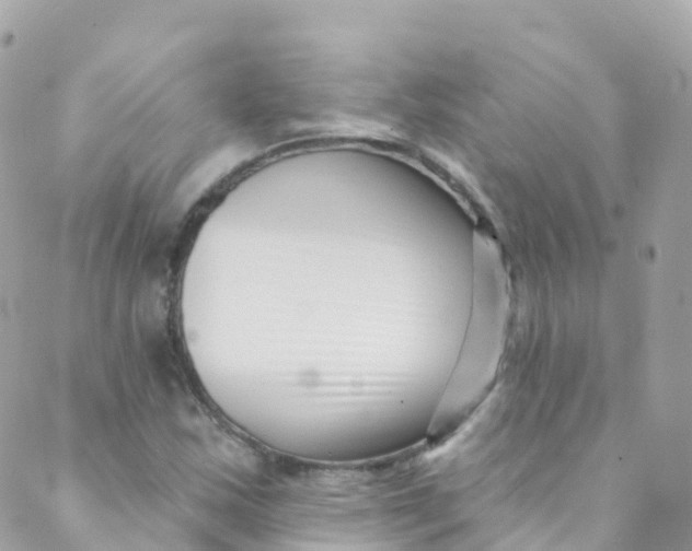 X0000089441163200707061401