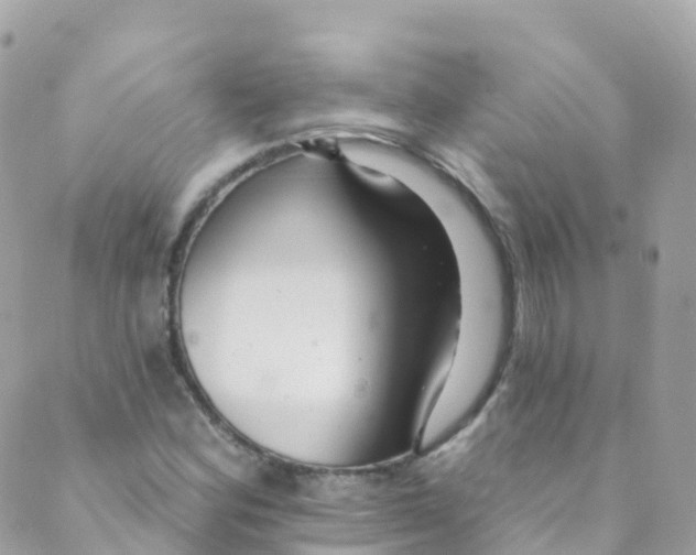 X0000089441164200707061401