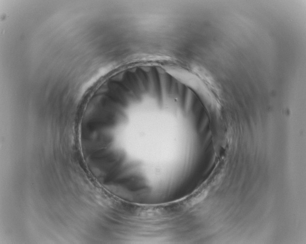 X0000089441165200707061401