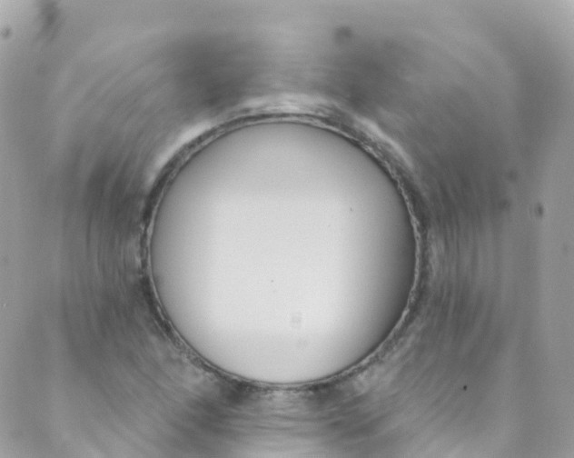 X0000089441166200707061401