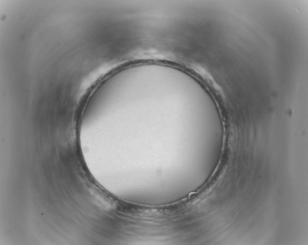 X0000089441167200707061401