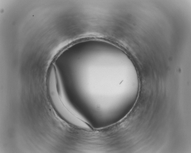 X0000089441168200707061401