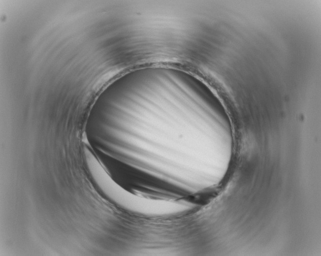 X0000089441169200707061401