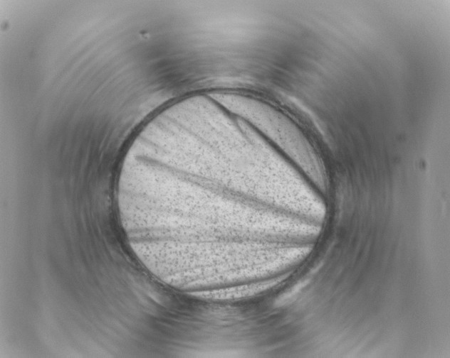 X0000089441170200707061401