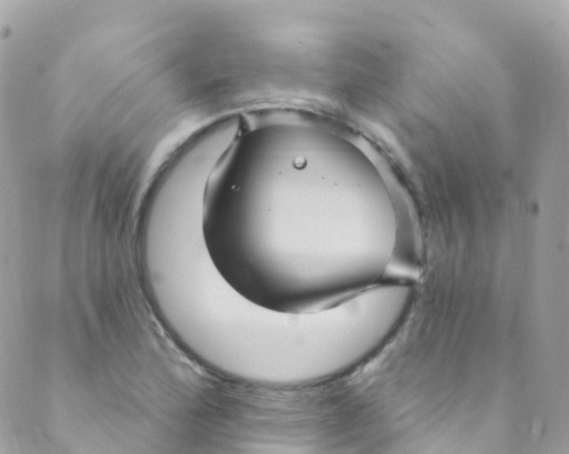 X0000089441172200707061401