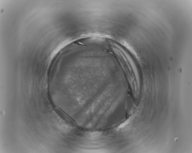 X0000089441173200707061401