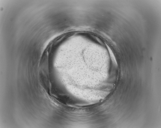 X0000089441174200707061401