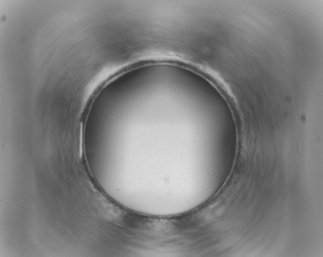 X0000089441175200707061401