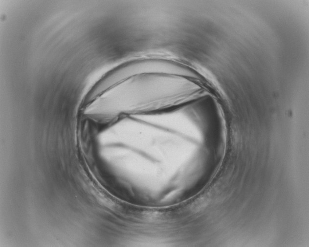 X0000089441176200707061401