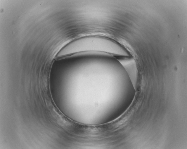 X0000089441177200707061401