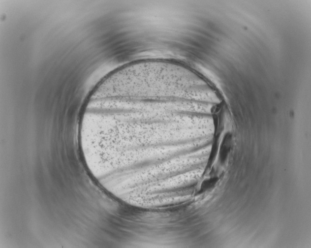 X0000089441179200707061401