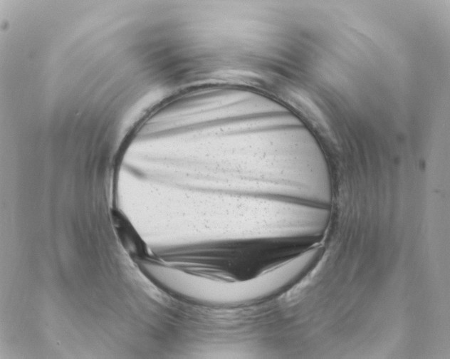 X0000089441180200707061401