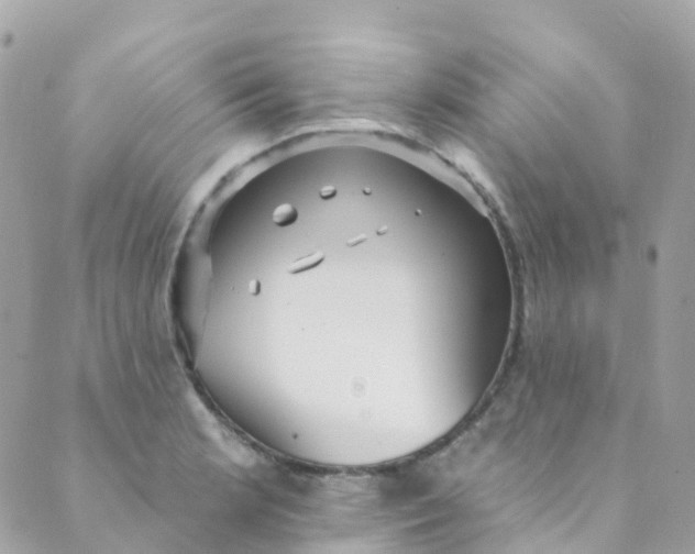 X0000089441181200707061401