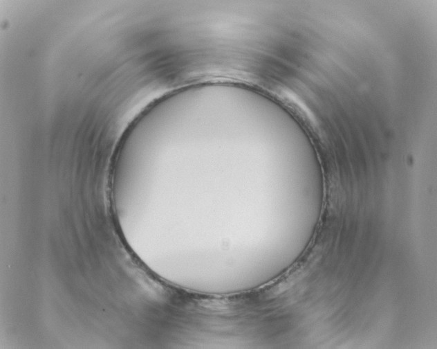 X0000089441182200707061401