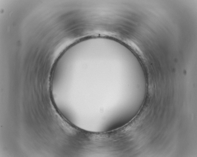 X0000089441183200707061401