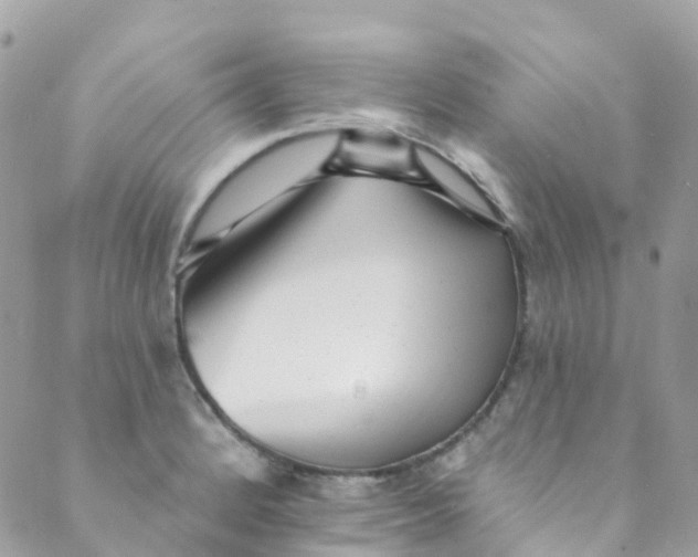 X0000089441184200707061401